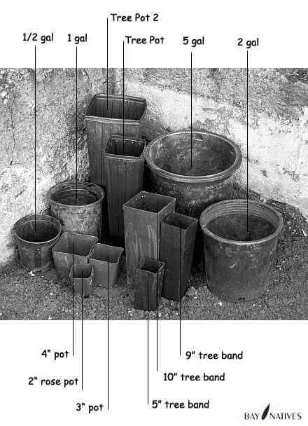 Pot sizes - inches to gallon conversion Image